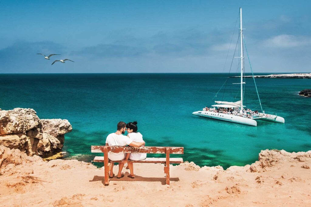 Sea turtle swimming near a resort with hotel deals in Marsa Alam