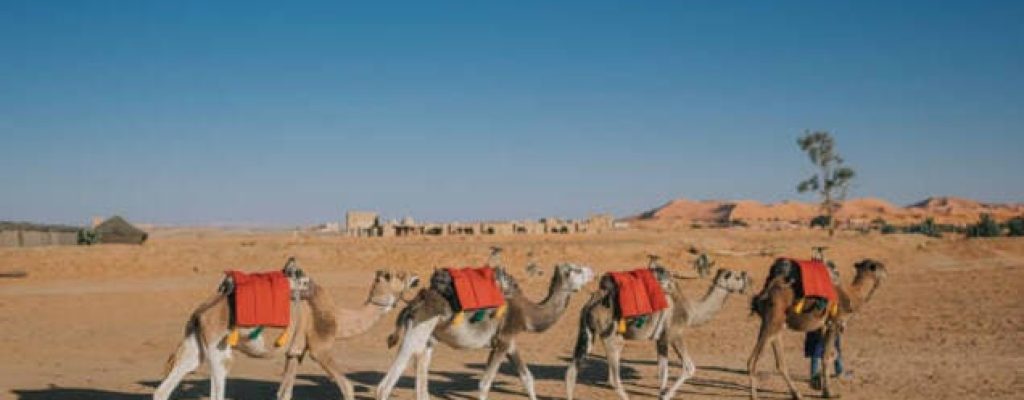 istockphoto-1463054694-612x612