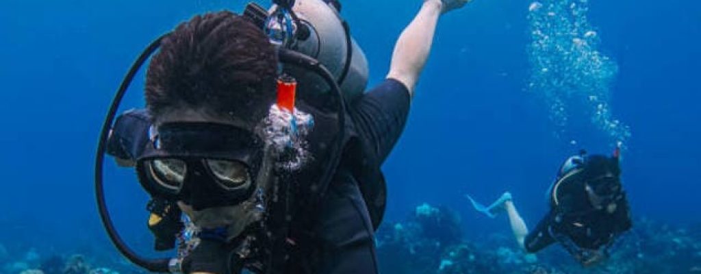 istockphoto-2170776656-612x612 (1)